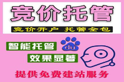搜索引擎营销（SEM）在本地市场的投放案例